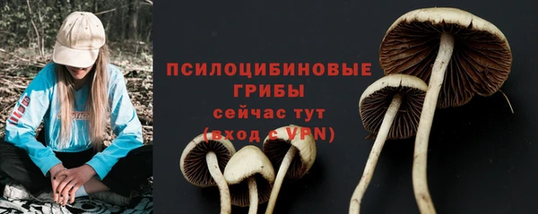 мяу мяу мука Заволжск
