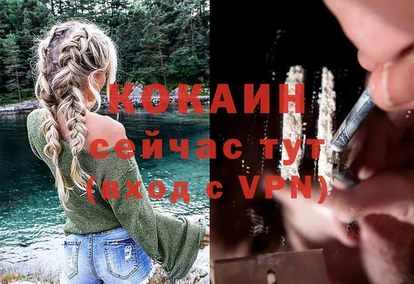 ECSTASY Заводоуковск