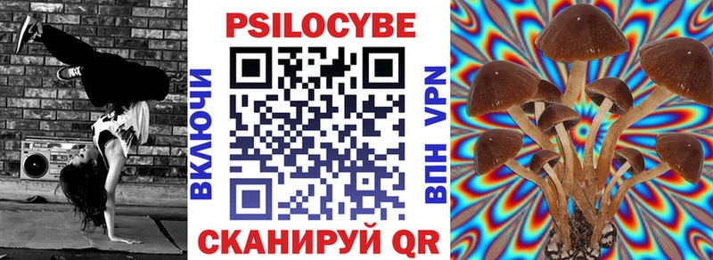 Купить закладки  Карачаевск  Псилоцибиновые грибы GOLDEN TEACHER 